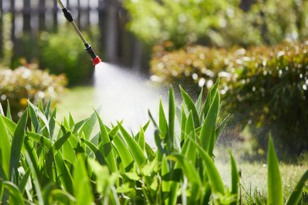 Tamper-Resistant Bait Stations for Rodents in Toftrees