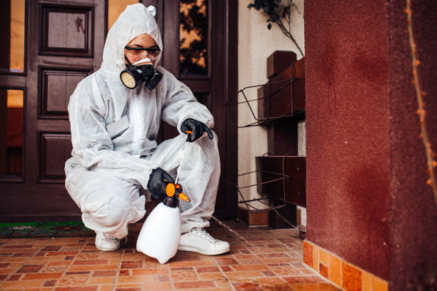 Attic and Crawl Space Rodent Treatment in Toftrees