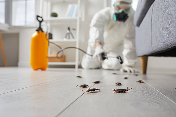 Commercial Rodent Management in Toftrees